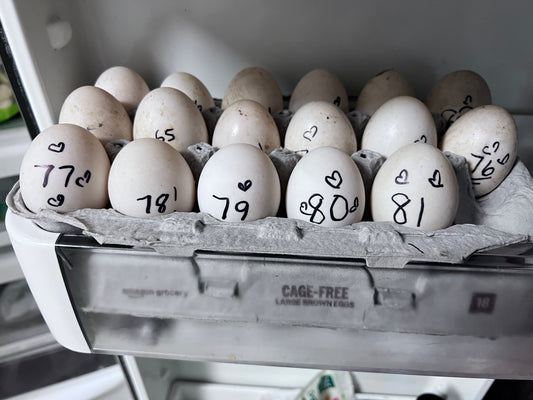 Duck's Farm-Fresh 1/2 MILK CHOC 1/2 WHITE Chocolate Chip Cookies - Half Dozen